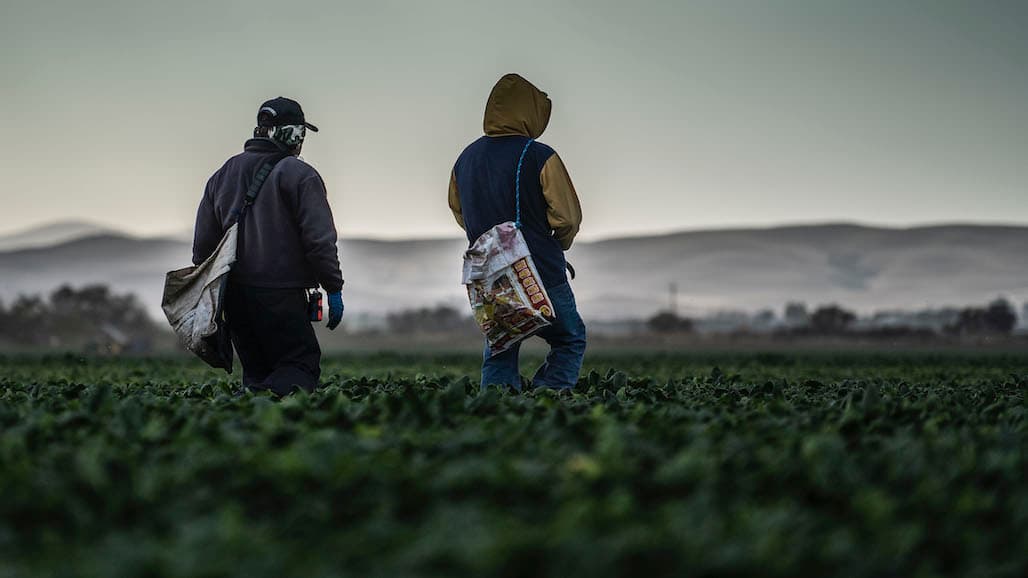 Protecting Workers from Wildfire Smoke