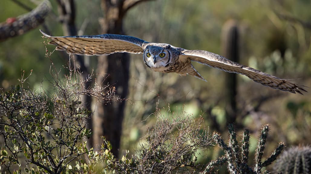 61 Million Acres Voluntarily Conserved in America, Land Trust Census Reveals