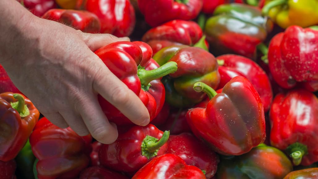 California’s Vegetable Value Down 15% from 2020