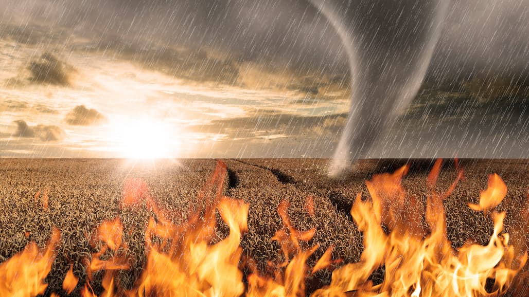 USDA Provides Update on Implementation of Forthcoming Disaster Assistance