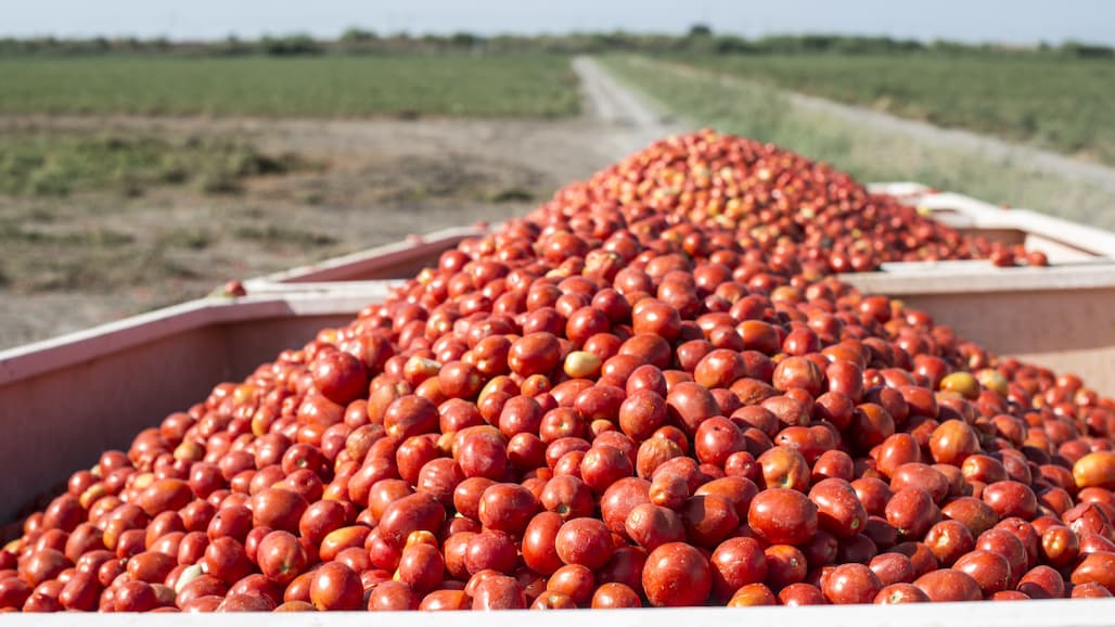 Sacramento Valley Processing Tomato Production Meeting, Feb. 10