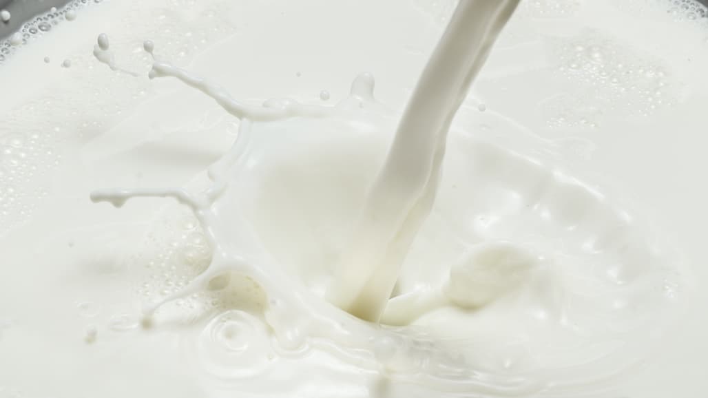 Bring Back the Fat in Dairy