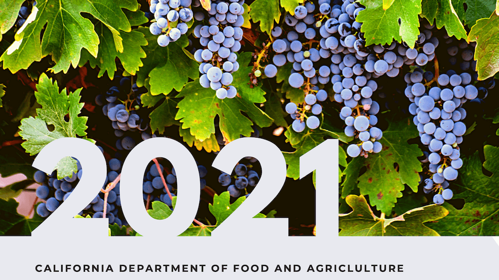 California Final Grape Crush Report Reveals Higher Tonnage