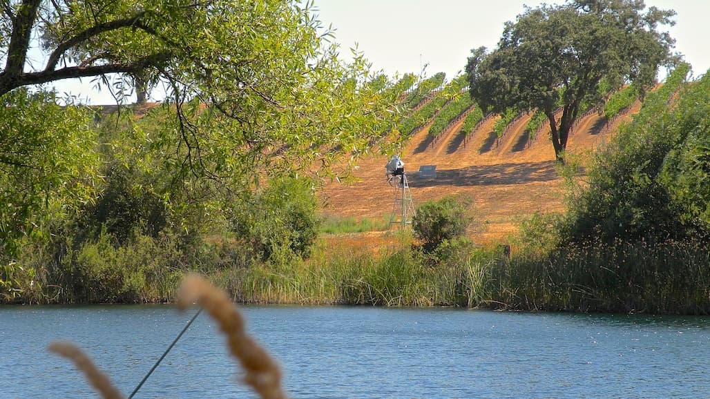 CLEAR30 Option for Producers to Enroll Land with Expiring Conservation Contracts