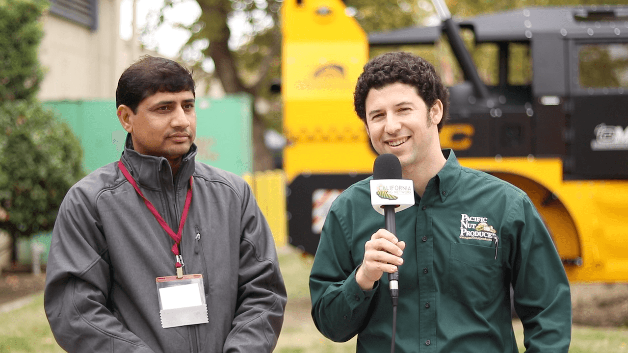 Growers Limited to Insecticides for Control of Walnut Husk Fly