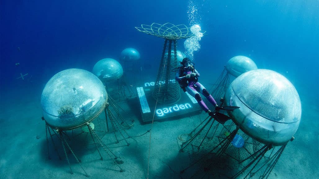 Underwater farming: A New Frontier
