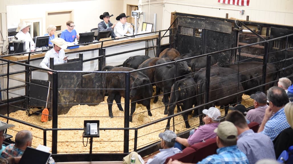 California Well-Represented at 2022 LMA Annual Convention & World Livestock Auctioneer Championship