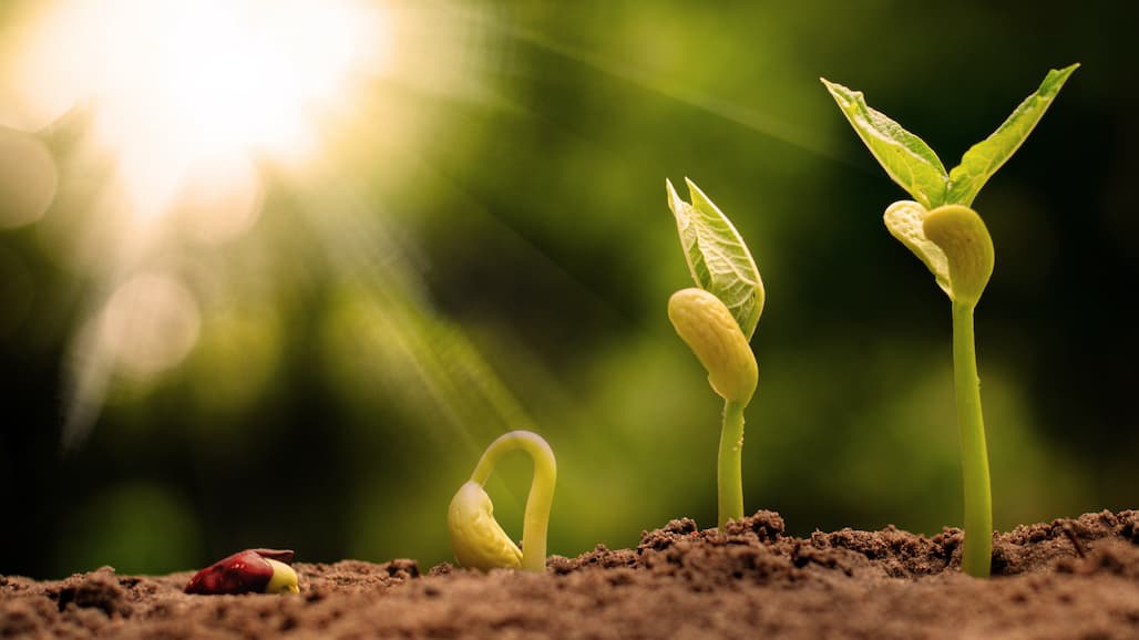 Best Farming Practices for Treated Seeds Underscores Commitment to Environmental Stewardship
