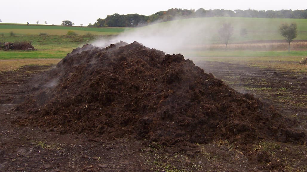 Compost Field Meeting, July 28