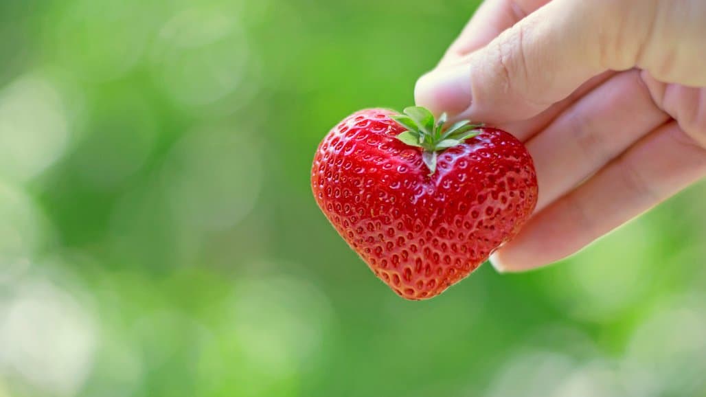 Strawberry Consumption Linked with Heart Health, Cardiometabolic Benefits