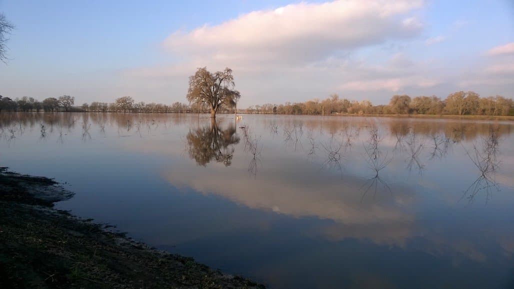 Executive Order to Use California Floodwater to Recharge and Store Groundwater