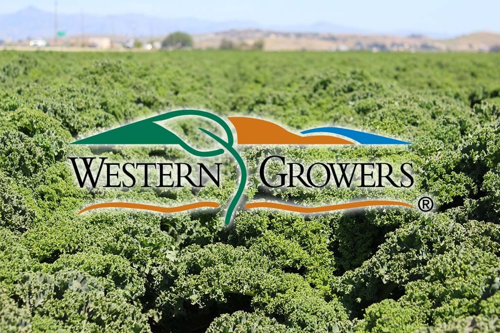 Growers Spend $500,000 Per Year on Automation