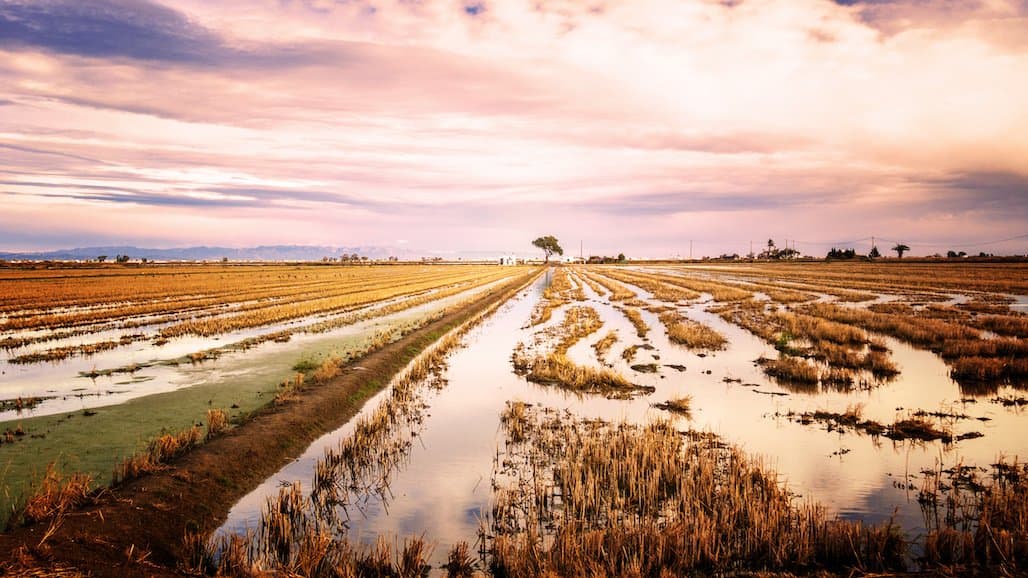 USDA Assistance to California Farmers and Livestock Producers Impacted by Floods