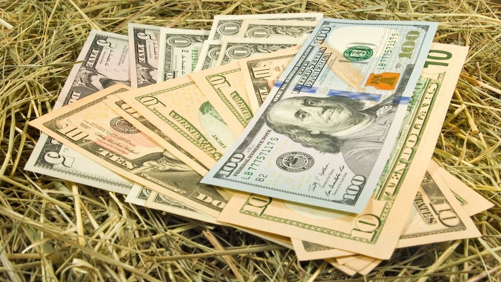 $500 Million for Improved Regional Conservation Partnership Program to Better Support Partners, Producers
