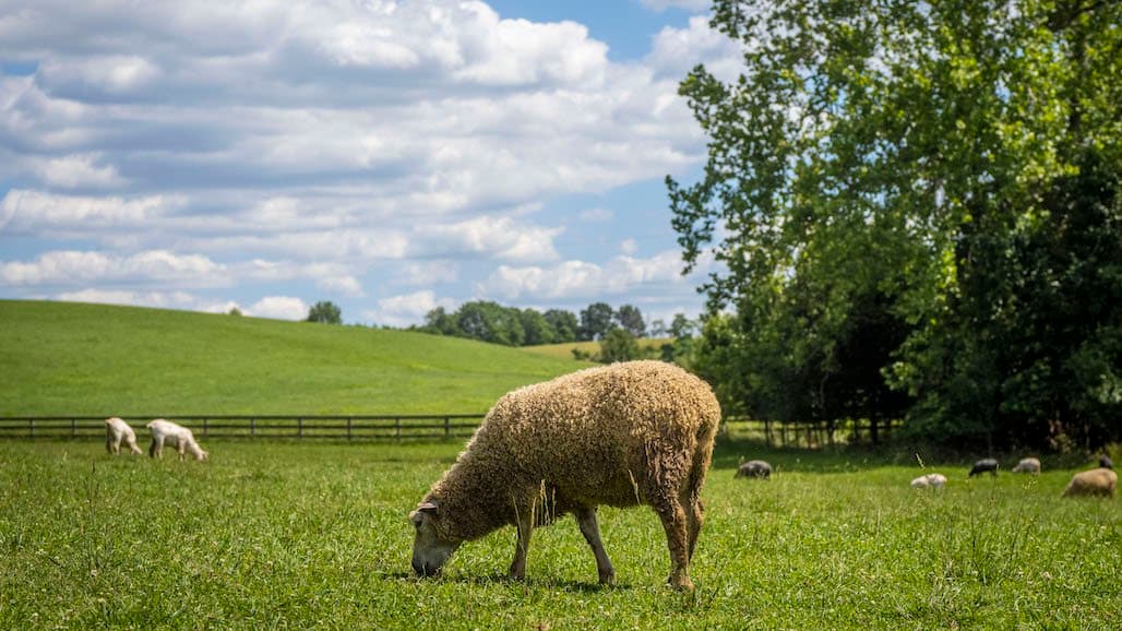USDA Hiring Engineers, Natural Resource Specialists Nationwide to Enhance Ag Conservation