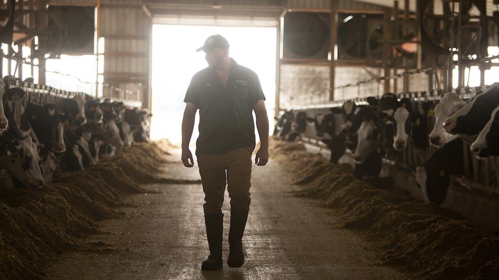U.S. Dairy Industry Adds 60K New Jobs and Higher Wages Driven
