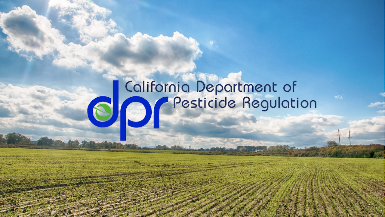 $1.9 Million in Grants to Support Transition to Safer, Sustainable Pest Management in California