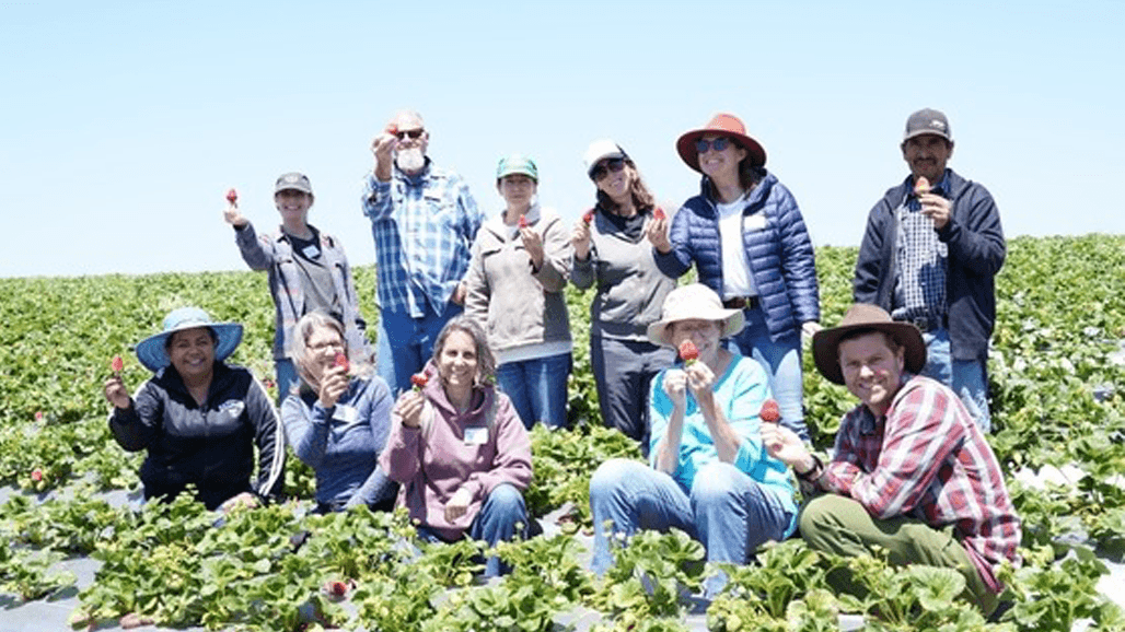 Organic Industry Experiences Benefits of TOPP Firsthand