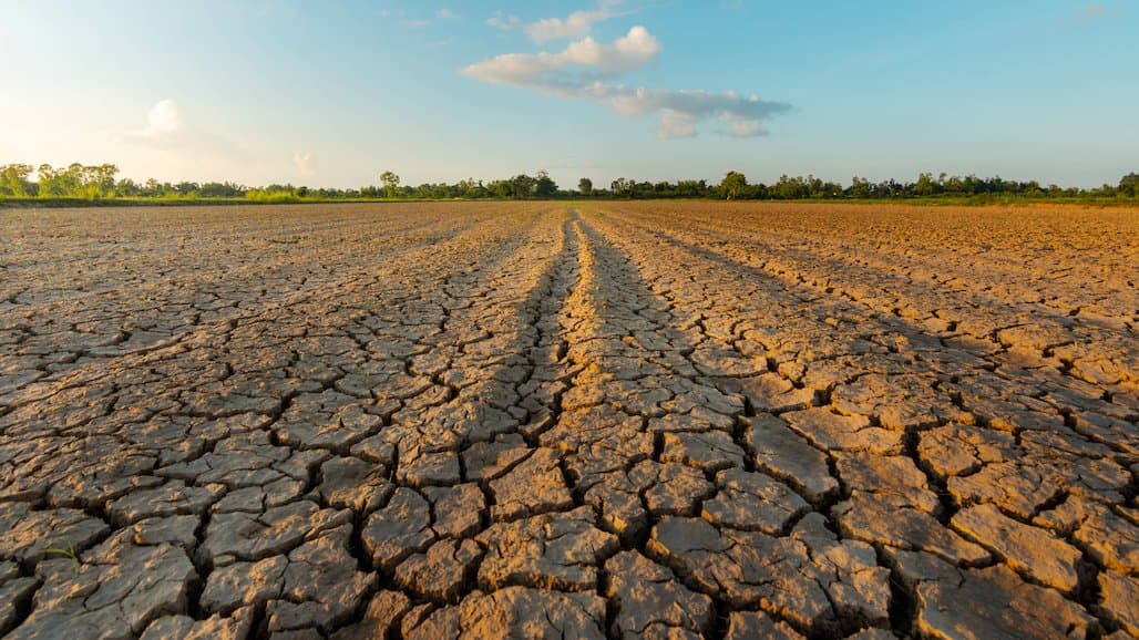 USDA Extends Deadline for Input on Crop Insurance Coverage for Prevented Planting
