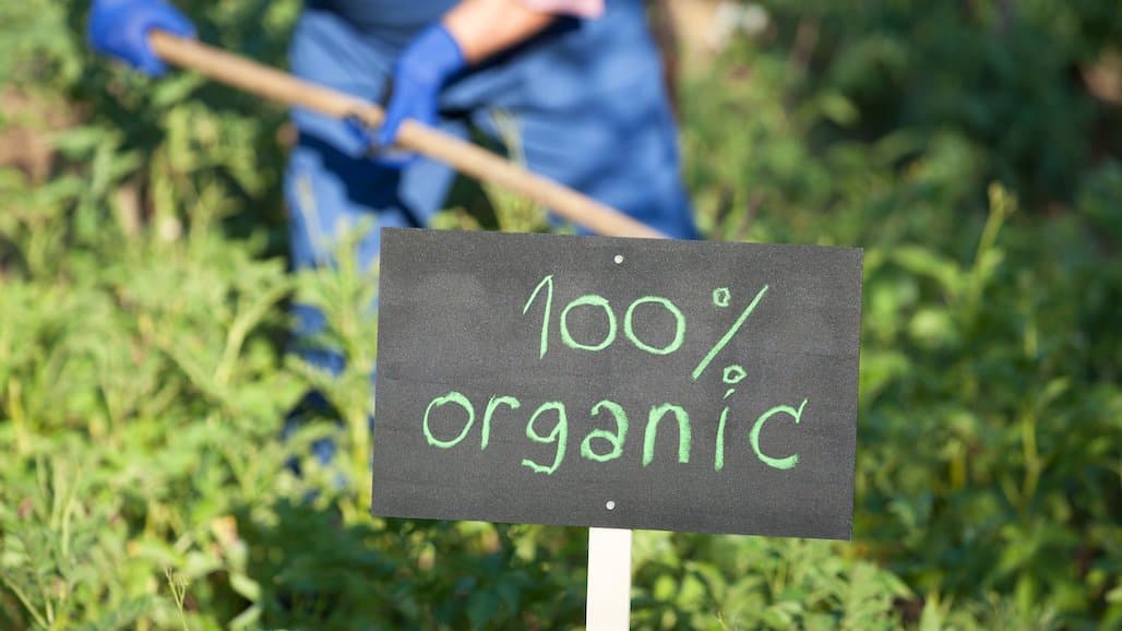 Producers to Benefit from USDA Awards Providing Organic Market Development, Promotion Support