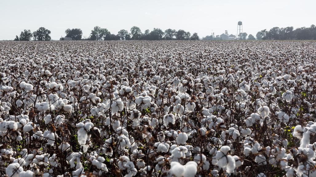 Ginning up a Market for U.S. Cotton in Bangladesh
