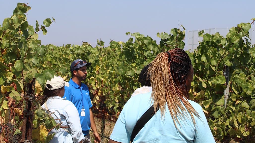 SEEAG Seeks Sponsors and Participants for 2024 Farm Day Events