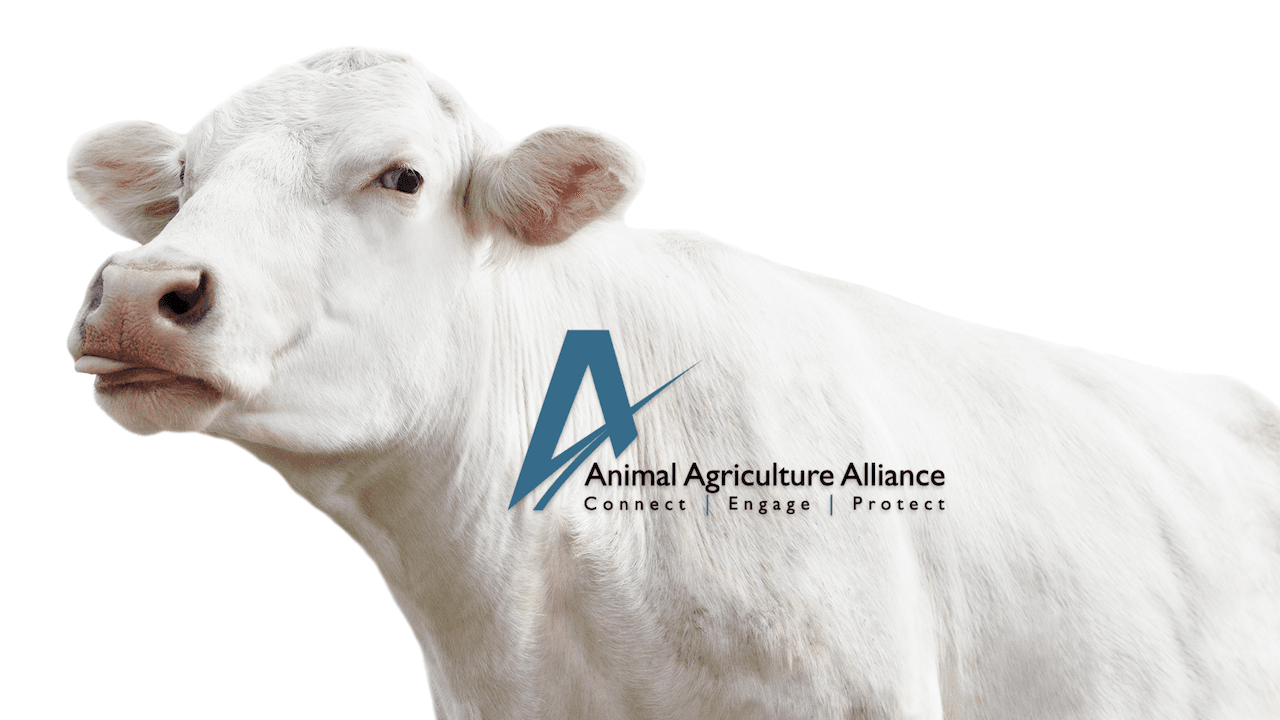 Navigate Animal Welfare Versus Animal Rights at 2024 Summit