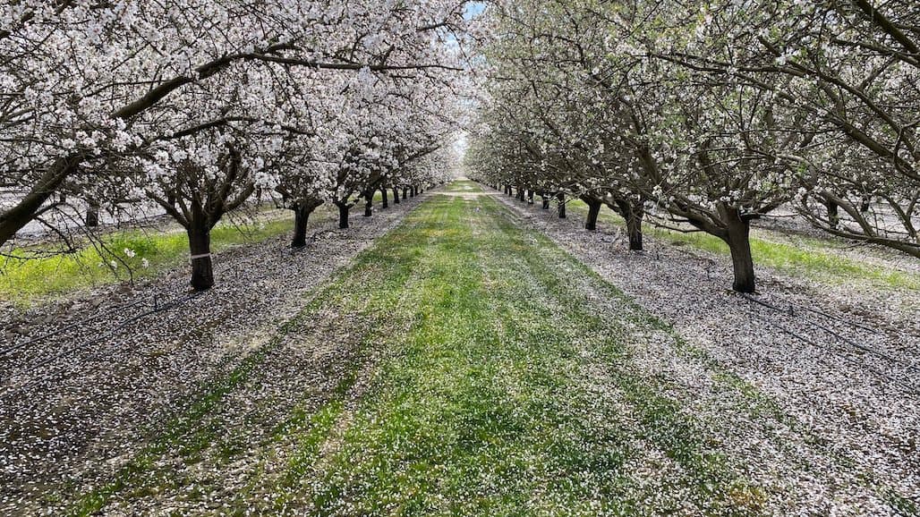 Oakville Bluegrass Cooperative Opens Enrollment for USDA Incentive