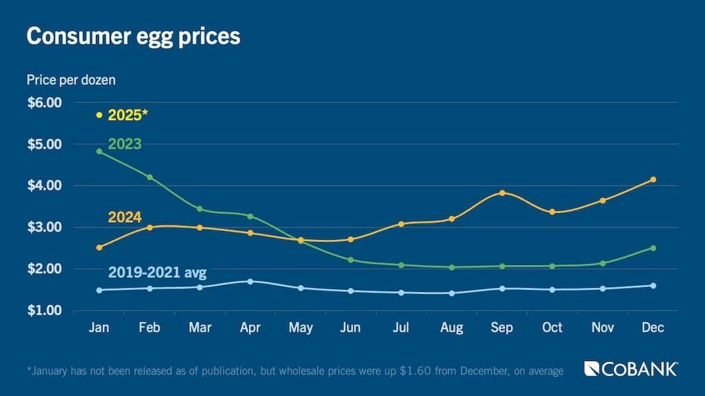 How Shifting Consumer Demand Patterns are Contributing to High Egg Prices
