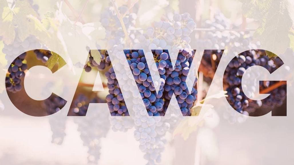 CAWG Foundation Awards $41,000 in Scholarships to These Students