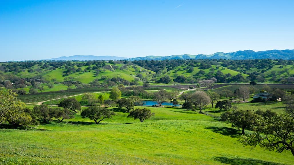 Nearly 1.8 Million Acres Accepted Through 2025 USDA Conservation Reserve Program