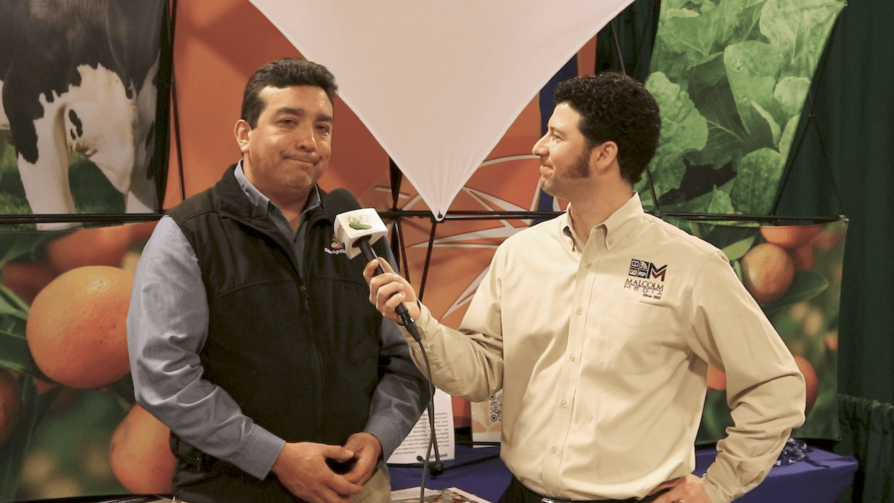 Outlook Optimistic for California Strawberry Growers