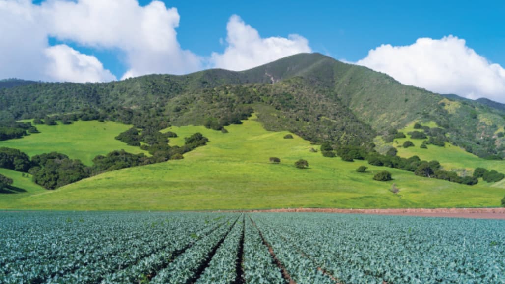 DPR Releases Summary of Convening on Post-Harvest Commodity Fumigation