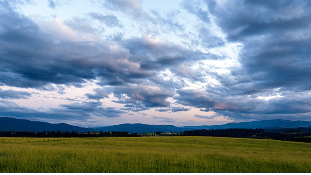 USDA to Invest $5M to Protect Wetlands and Floodplains on Ag Lands