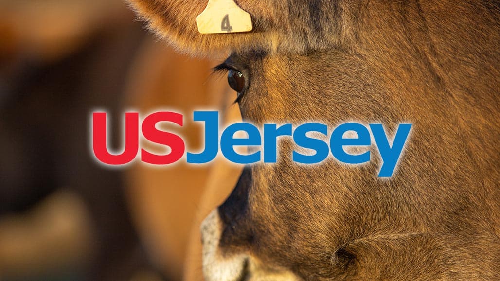 Applications Available for Class X of Jersey Youth Academy