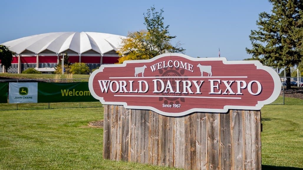 California Takes Top Honors in National 4-H Dairy Cattle Judging Contest