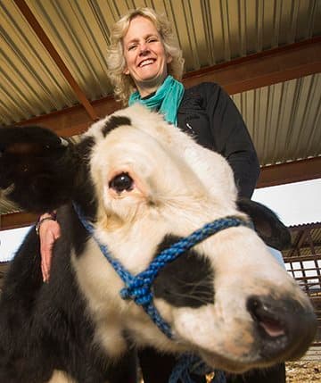 Gene Editing Can Complement Traditional Food-Animal Improvements