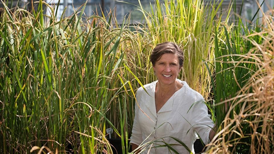 $1.7 Million for Climate-Resilient Agricultural Research