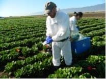 Produce Safety Training Ensuring Continued Enjoyment Of Specialty Crops