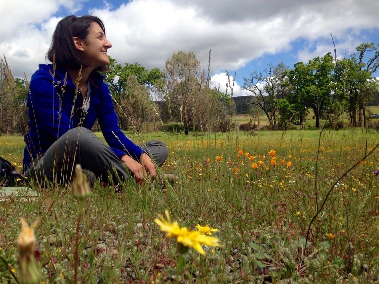 Native Wildflowers Bank on Seeds Underground to Endure Drought