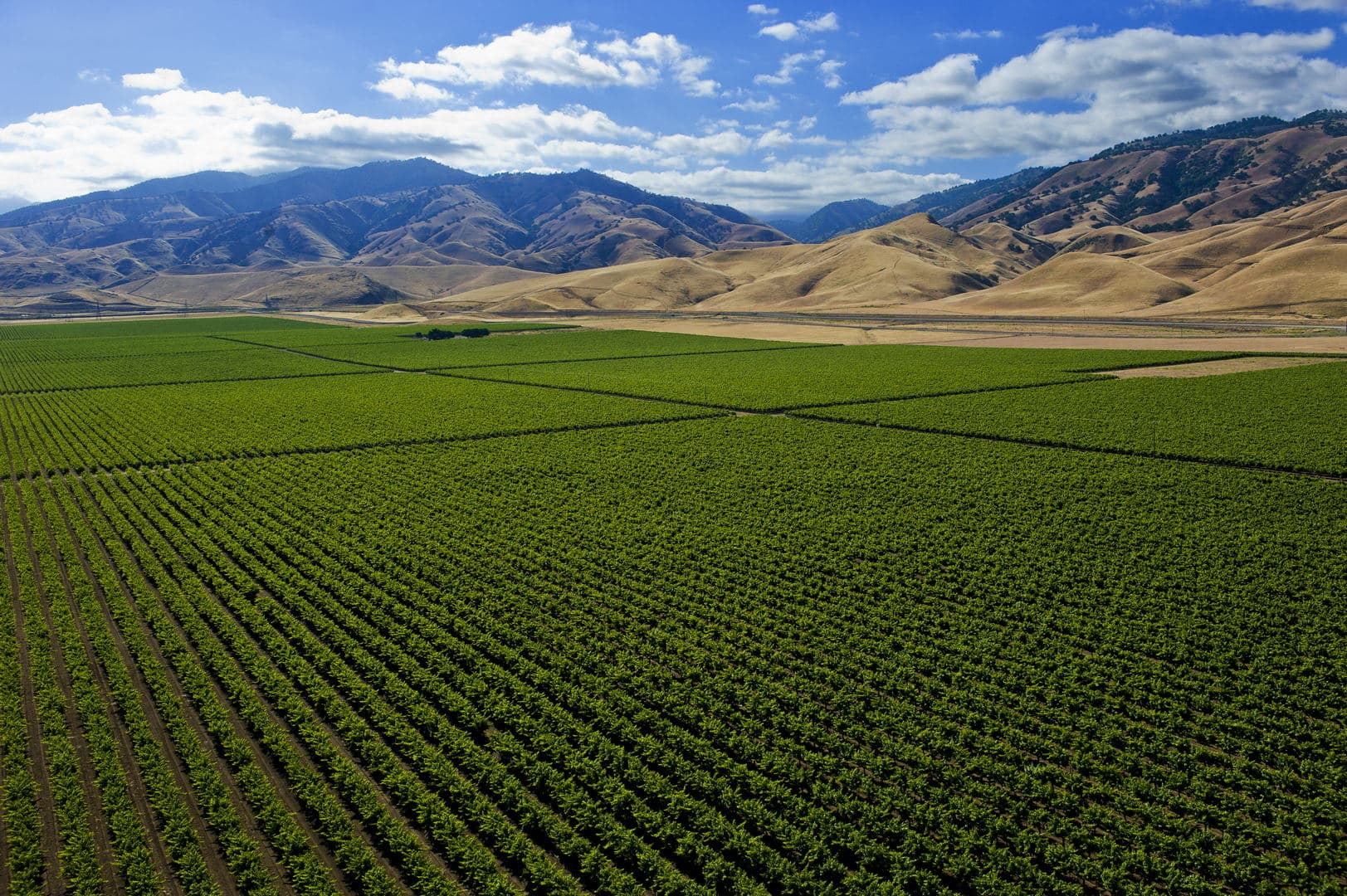 Kern County Spring Citrus Meeting – March 8