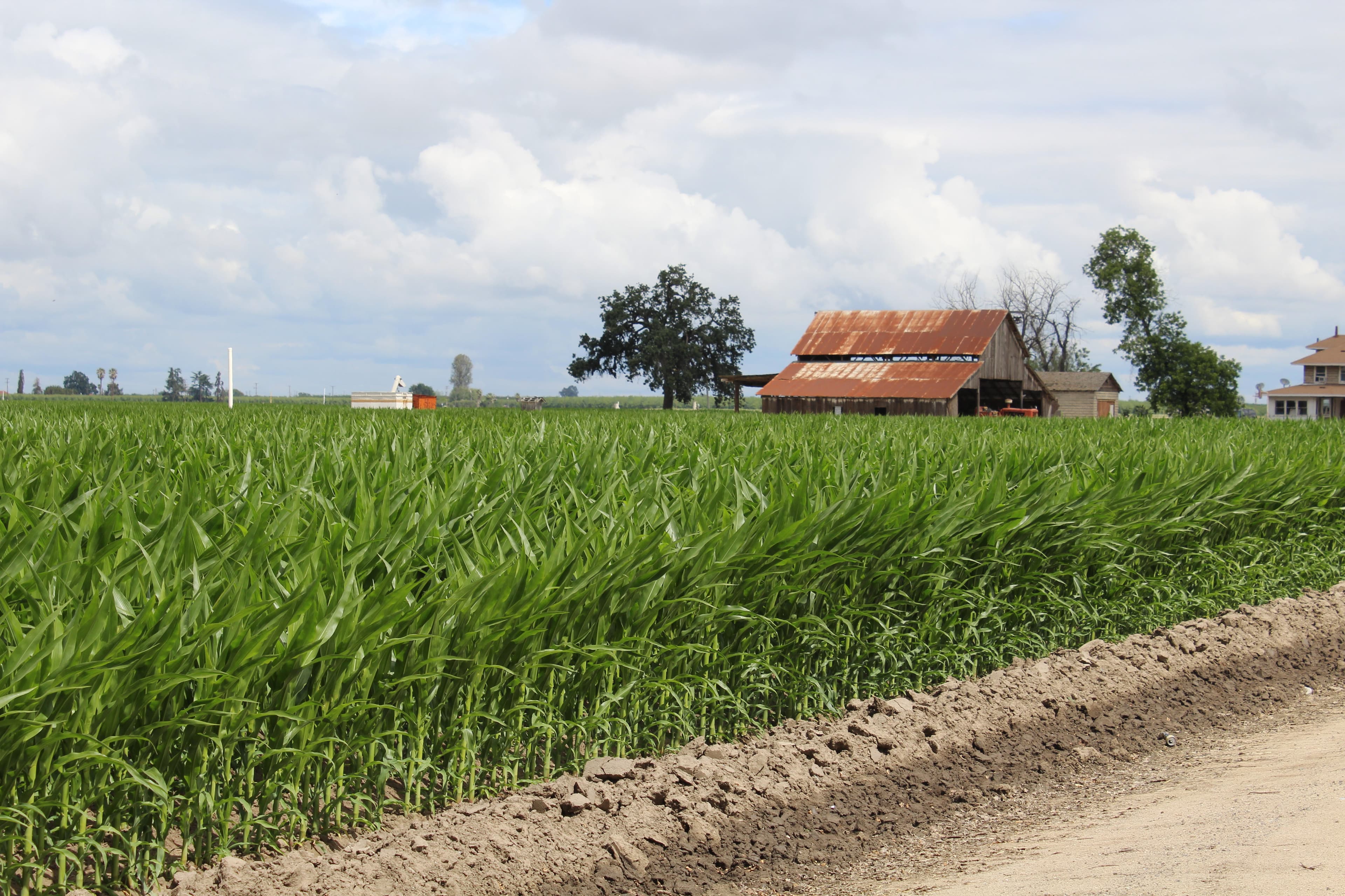 California Farm Production Expenses Drop in 2018
