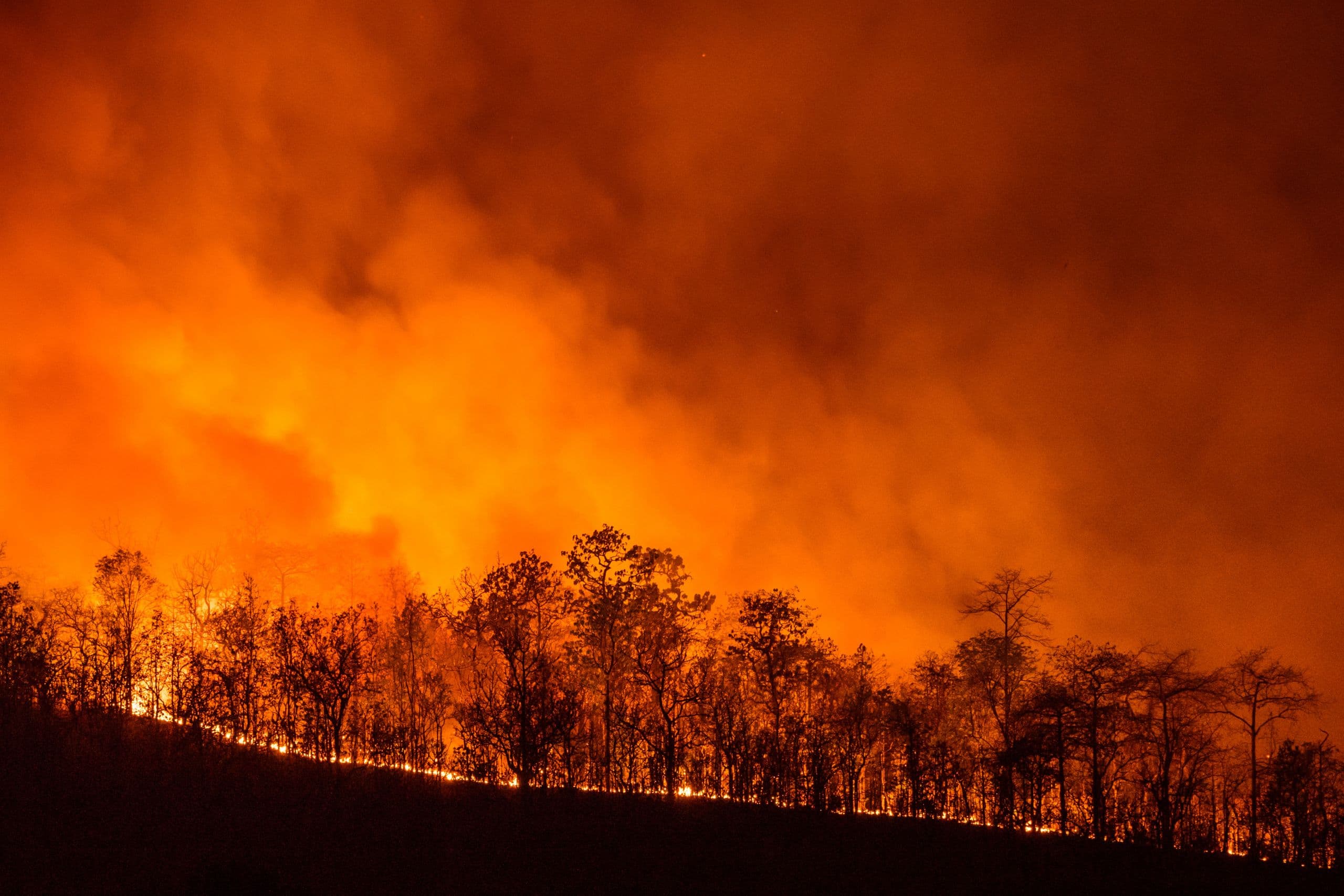 California Must Become a Fire-Adapted Civilization, UCCE Expert Says