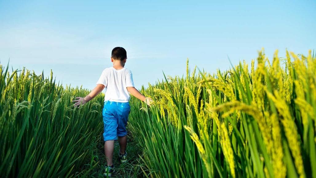Ag Revolution Saved Over 100 Million Infant Lives in Developing World