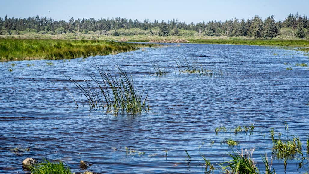 Updates to Conservation Easements Strengthen Protection for Farmland, Grassland and Wetland
