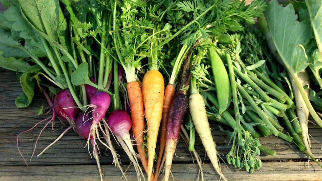Will California Remain Leader in U.S. Ag Production?