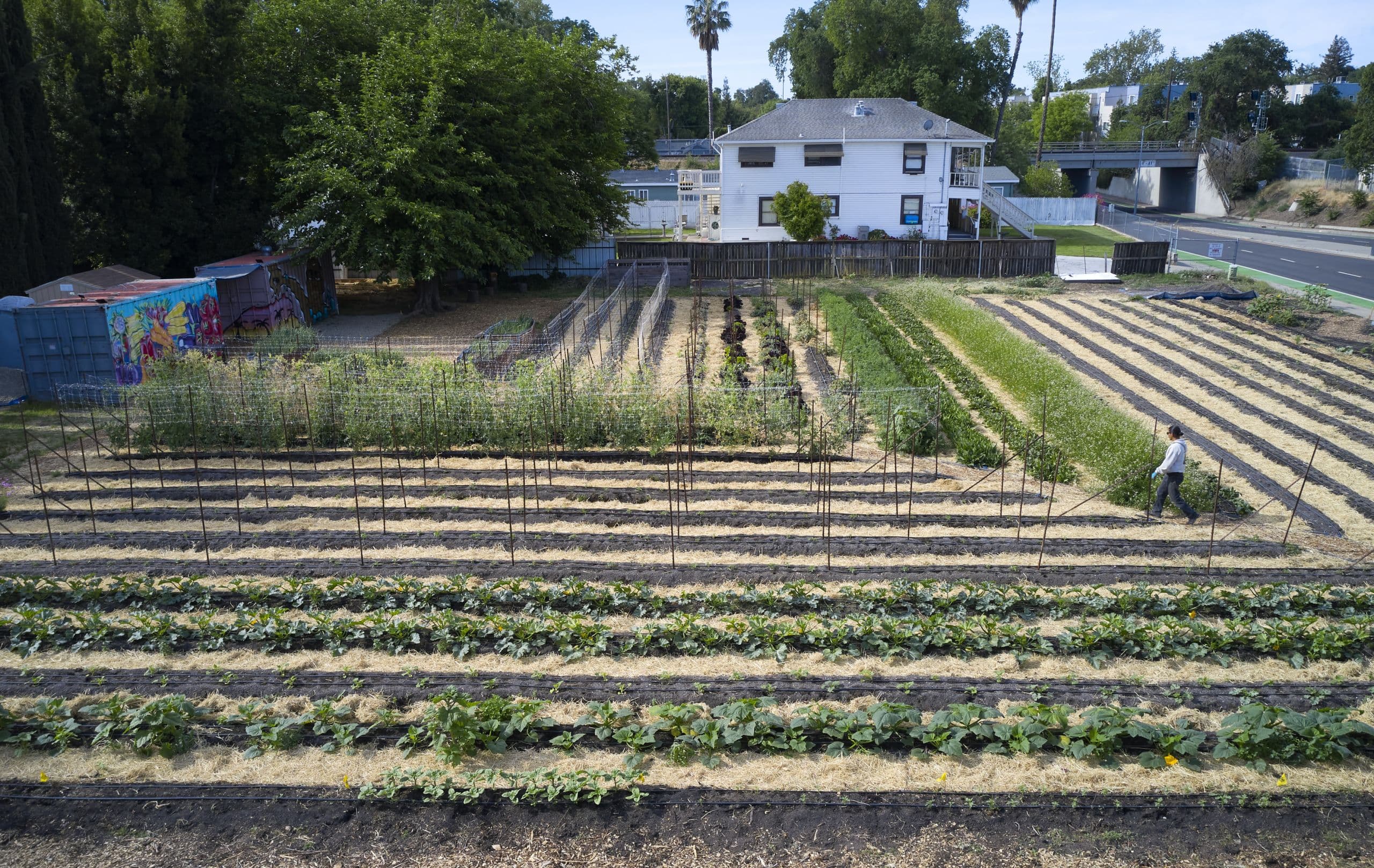 Center for Land-Based Learning Announces Unprecedented Organizational Growth