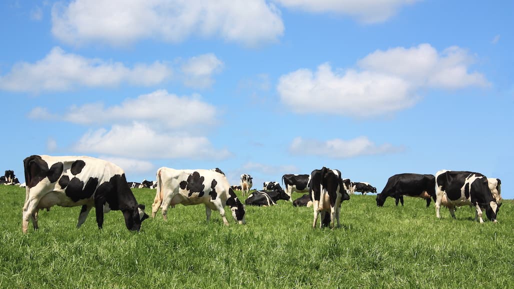 NMPF, NCFC Lead Coalition Call for Climate-Smart Ag Investments