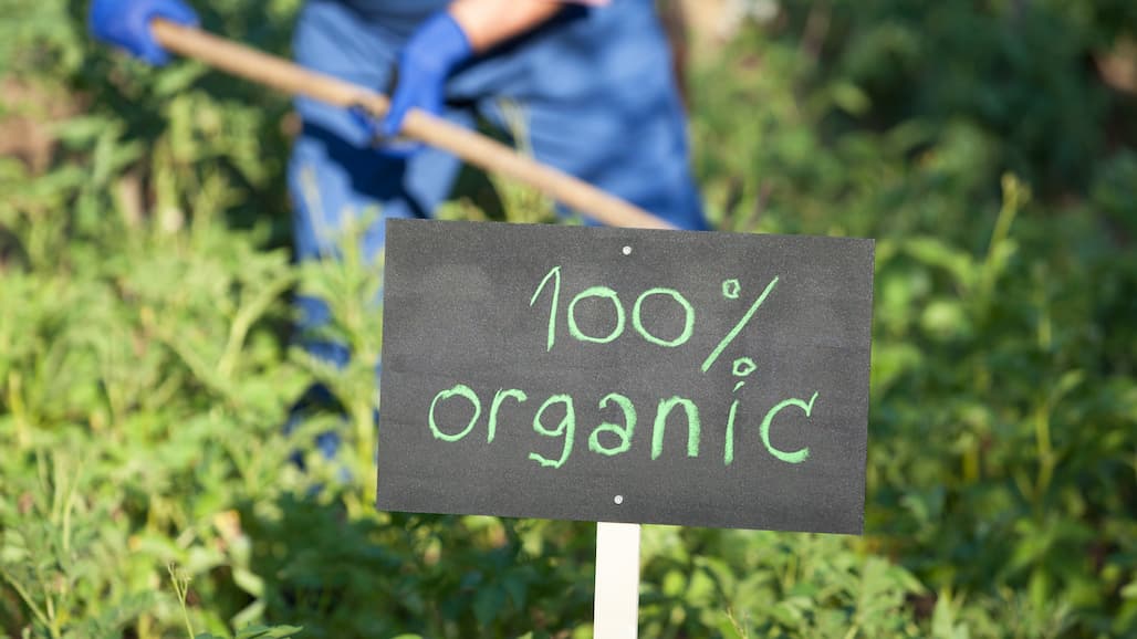 Grant Takes on Organic Challenges with Third-Party Certifications