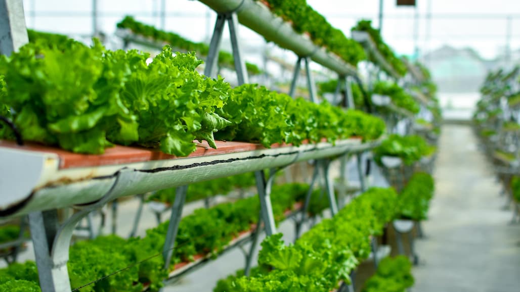 New Federal Advisory Committee for Urban Agriculture to Meet March 23-24